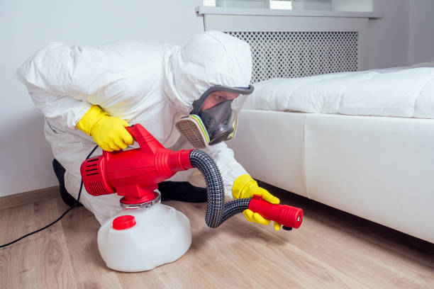 Best Pest Prevention Services  in Ville Ptte, LA